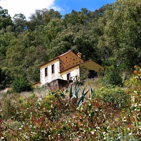 Casa Rural Las Caldereras Teror Εξωτερικό φωτογραφία